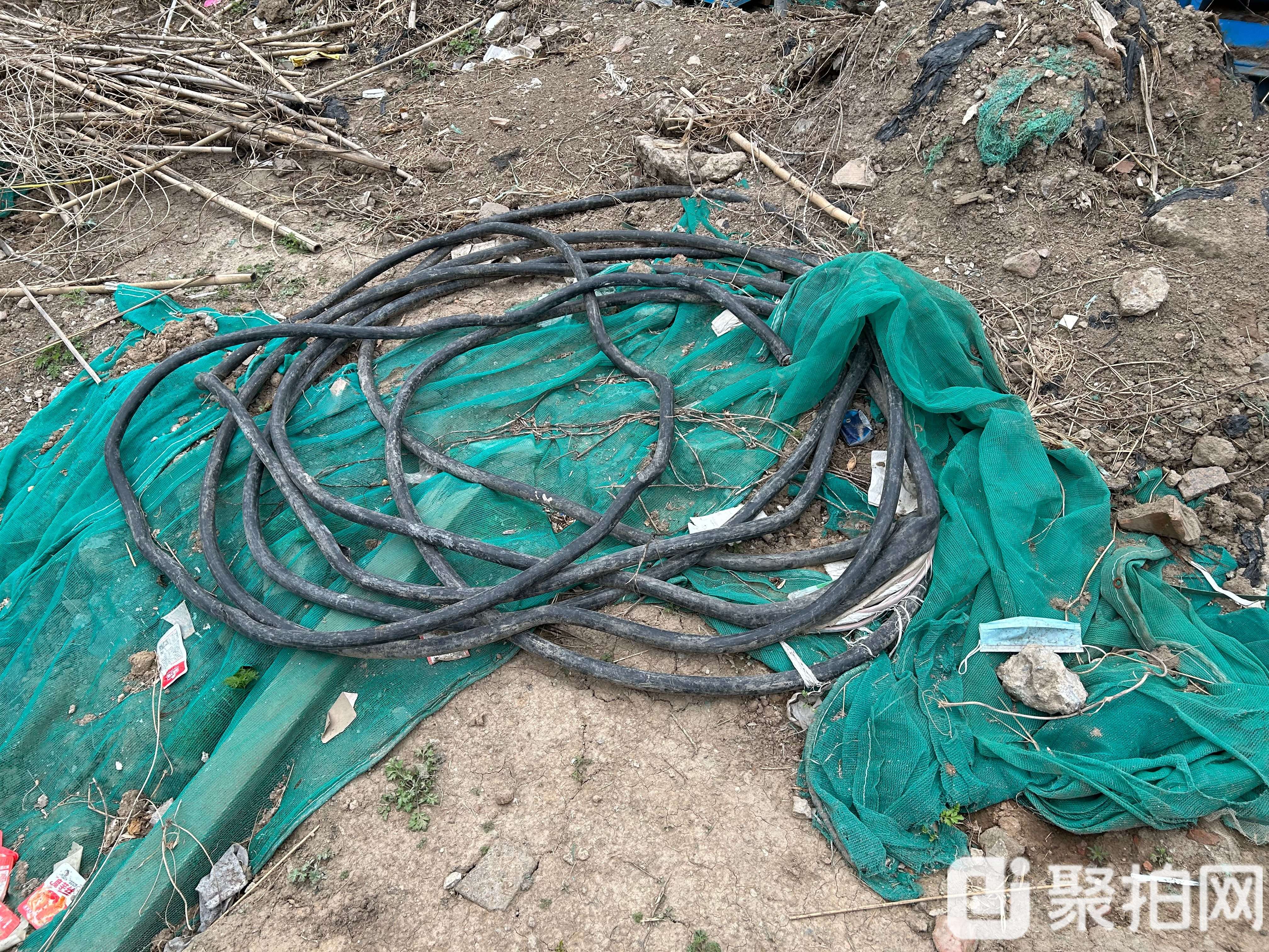 铜芯电缆（带皮）