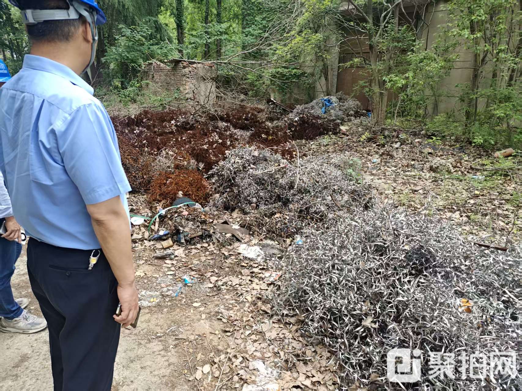 碳钢铁屑