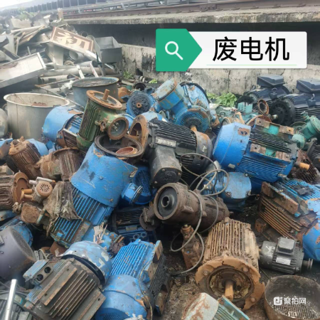 标的八 废电机一批