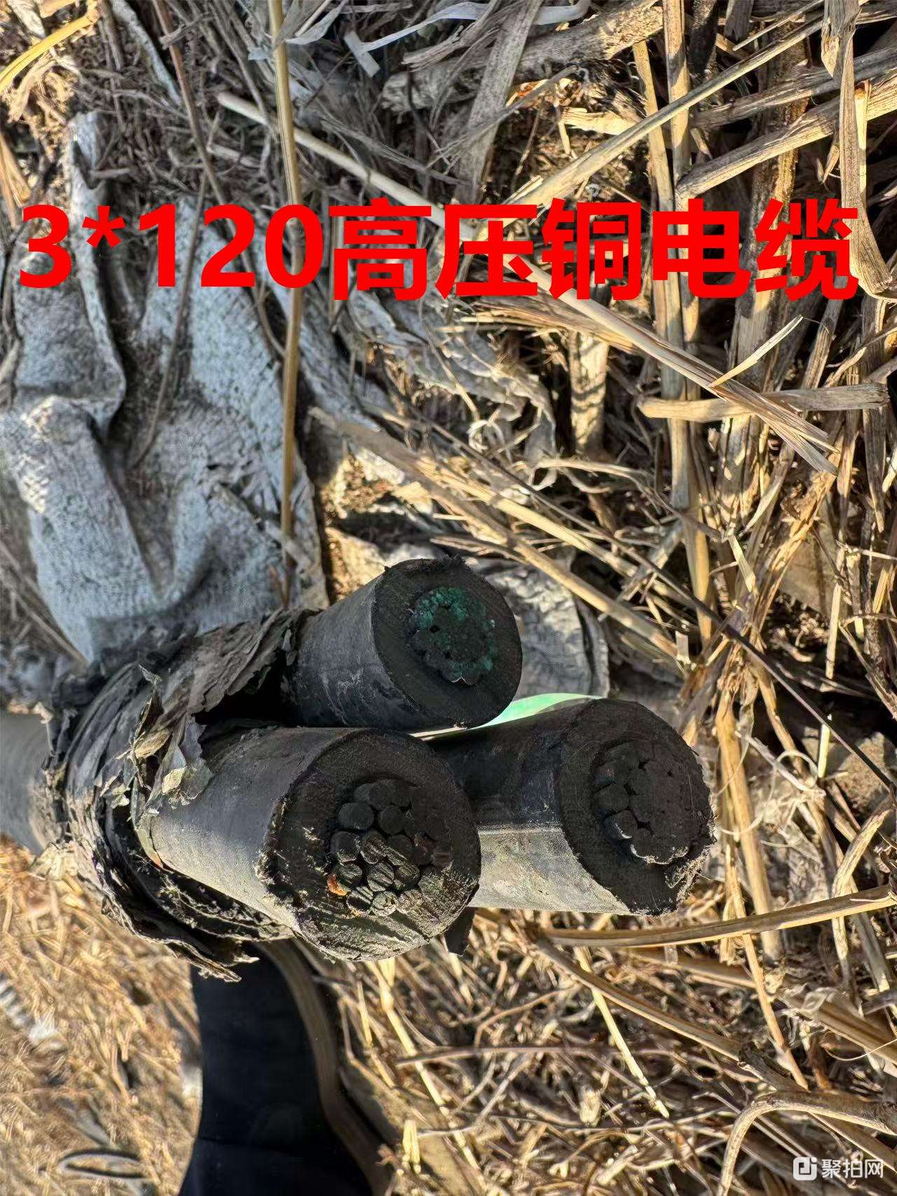 3*120高压铜电缆