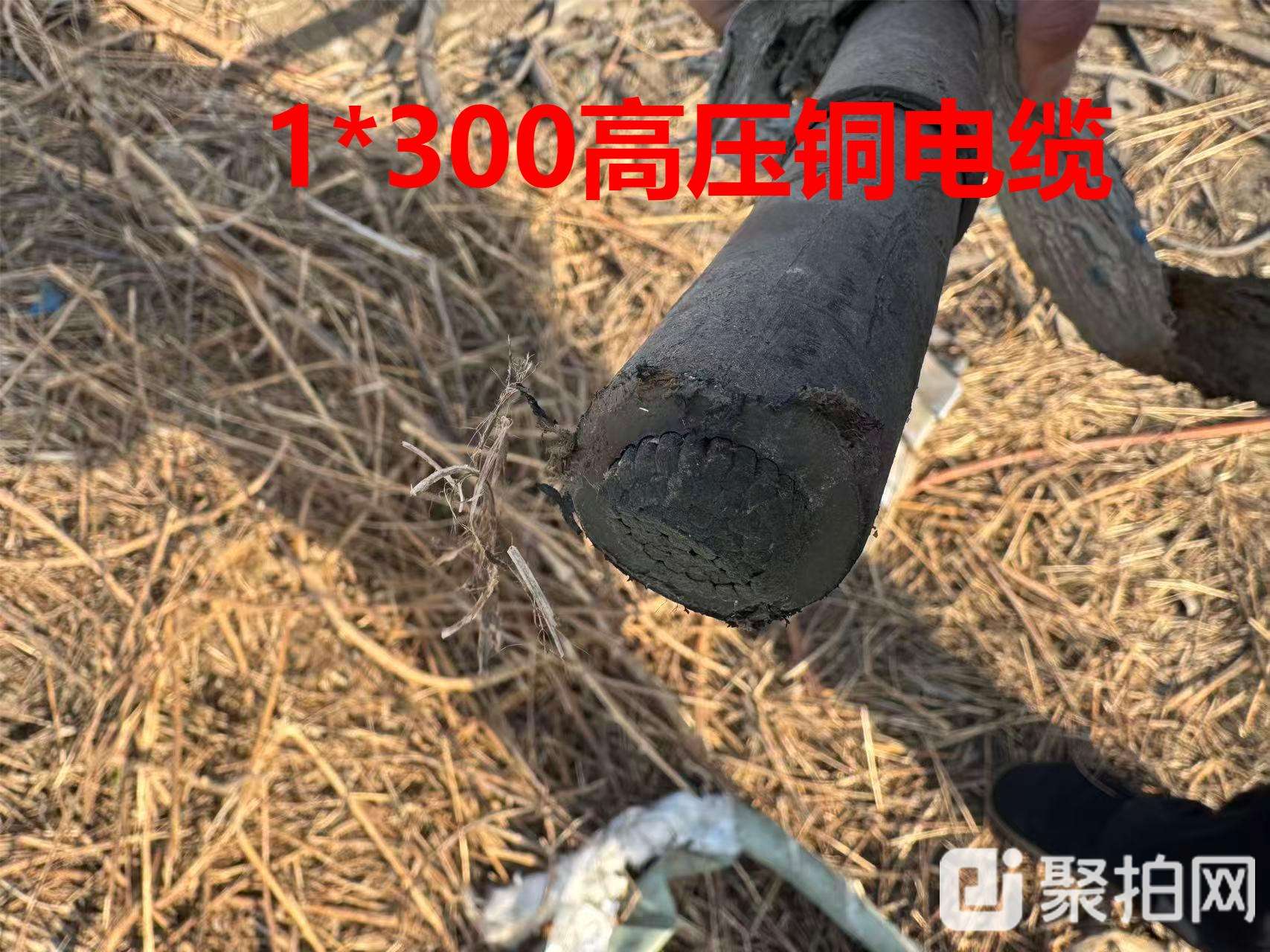 1*300高压铜电缆