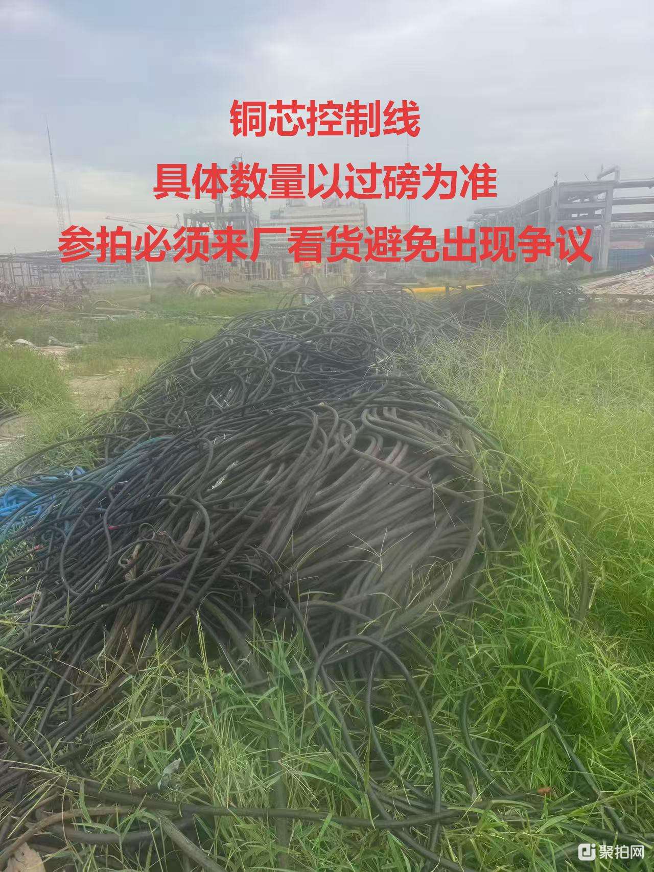 只拍控制线