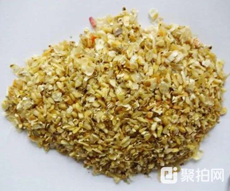 玉米胚芽