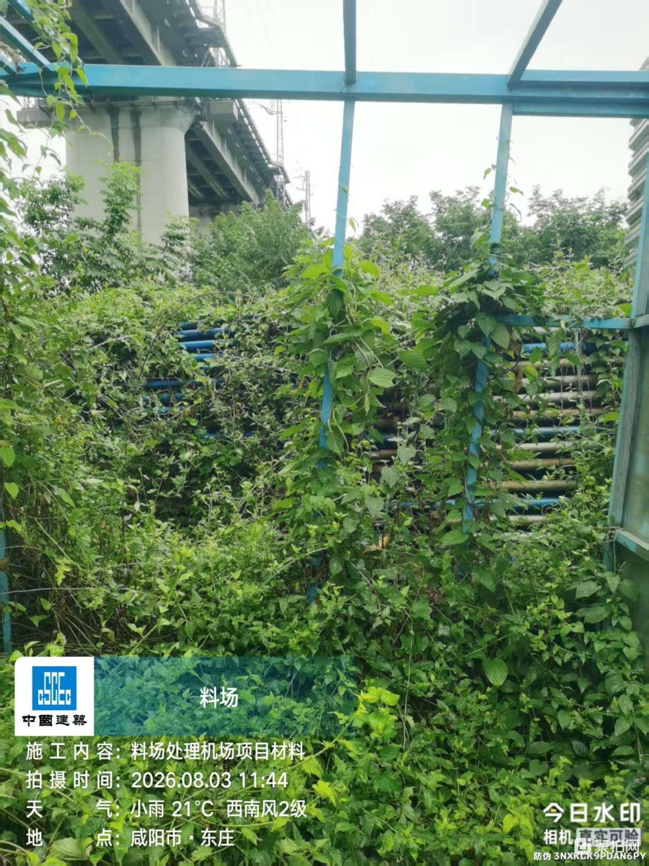 其它-钢支撑80吨